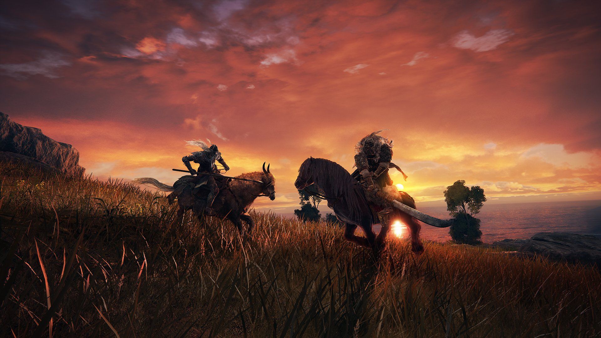 Come sbloccare il cavallo in Elden Ring?
