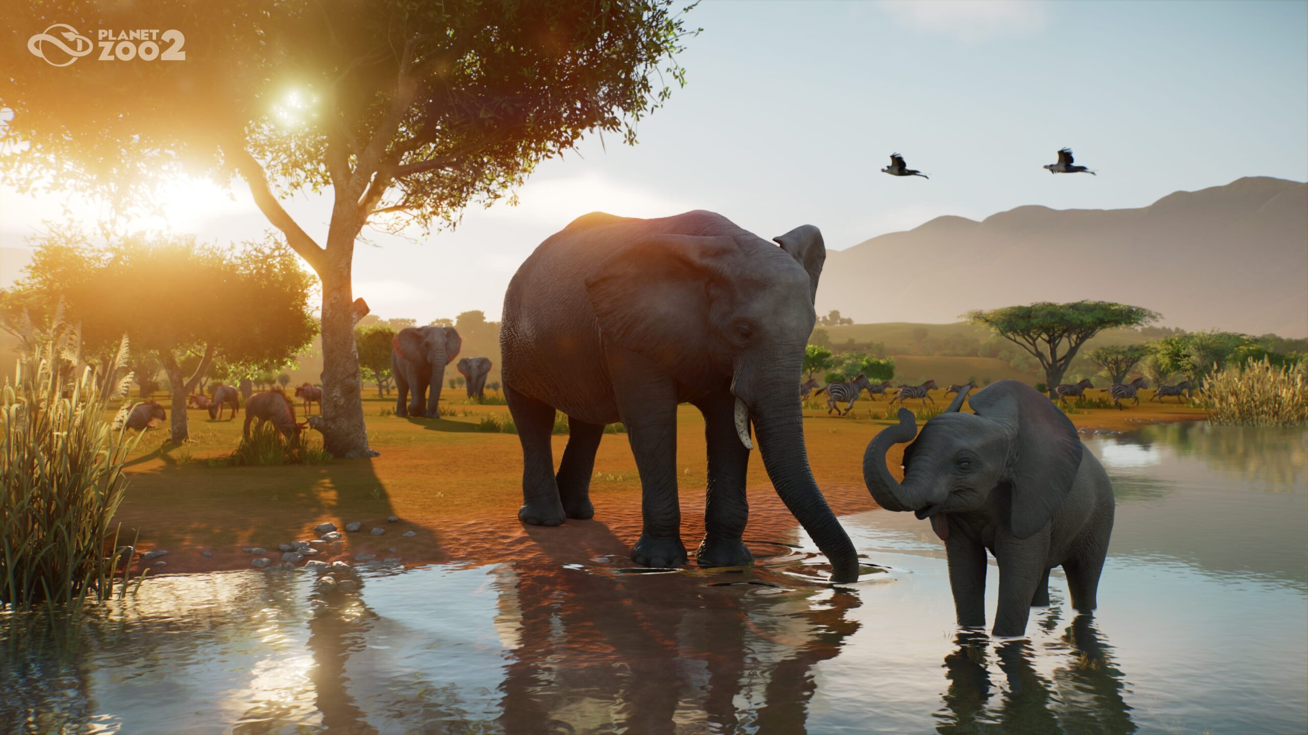 Planet Zoo 2, due elefanti in uno specchio d'acqua all'interno di un paesaggio di savana